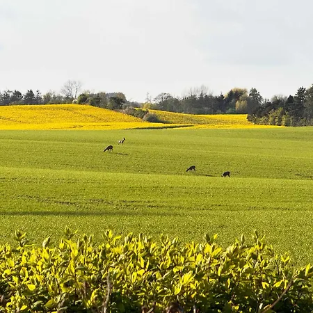 Beautiful Summer House For 8 People And 2 Dogs Σπίτι διακοπών Karrebæksminde