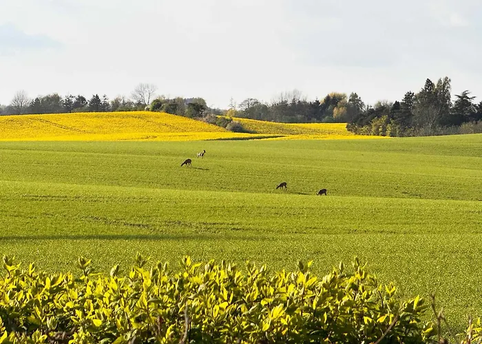 Beautiful Summer House For 8 People And 2 Dogs Σπίτι διακοπών Karrebæksminde